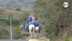 Campesinos nicaragüenses afectados por el COVID-19