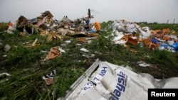 Wreckage from the nose section of a Malaysian Airlines Boeing 777 plane which was downed on Thursday is seen near the village of Rozsypne, in the Donetsk region July 18, 
