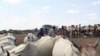World Bank Drought Plan Focuses on Ethiopia, Kenya