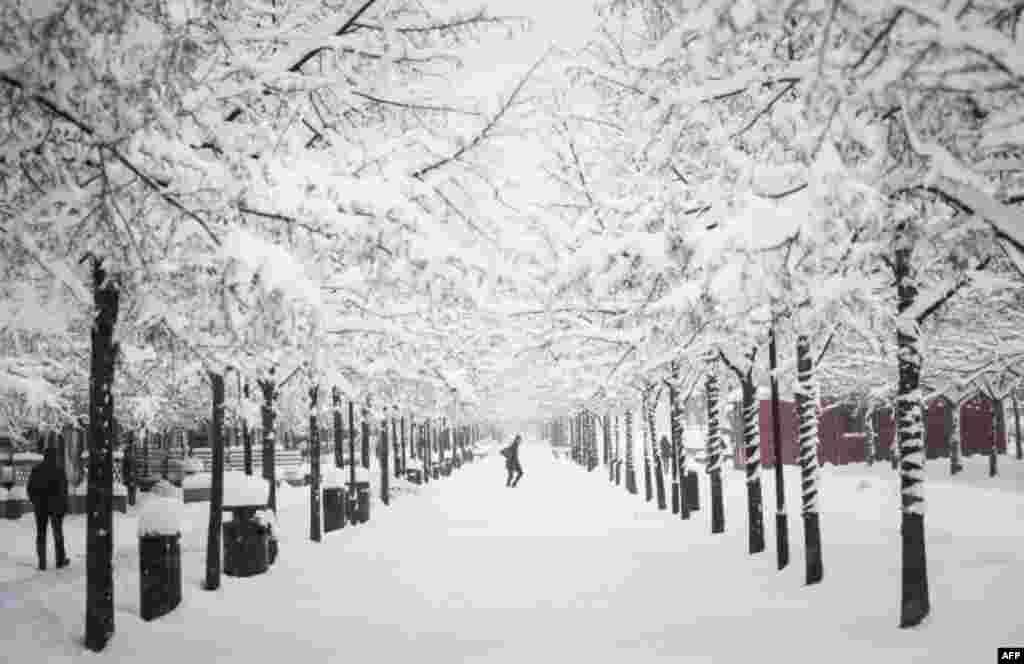 A woman walks during a blizzard in Stockholm, Sweden.