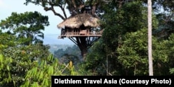 A treehouse that is part of the rainforest gibbon experience at Nam Kan National Park.