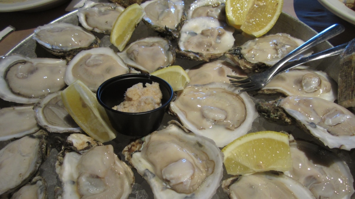 Oysters Return to New York’s Great South Bay