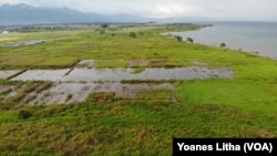 Hamparan lahan persawahan di pinggir Danau Poso di desa Meko, Kecamatan Pamona Barat yang terendam oleh naiknya elevasi air danau, Minggu (15/11/2020) (Foto:VOA/Yoanes Litha). 