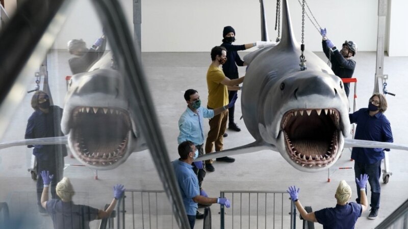 ‘Jaws’ Shark Arrives at Motion Picture Museum