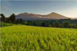 Lansekap Tetebatu di Kaki Gunung Rinjani, NTB. (Foto: Courtesy/BPBD Lombok Timur)