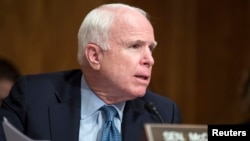 FILE - Senator John McCain (R-AZ) speaks on Capitol Hill in Washington, July 9, 2014. 
