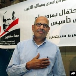 Mohammed ElBaradei, the Nobel Peace Prize winner and former U.N. nuclear chief, marking the first year of his campaign, in Cairo, Egypt, 06 Sep 2010