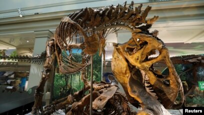 101+ Gambar Alam Dinosaurus Paling Bagus 101+ Gambar Alam Dinosaurus Paling Bagus