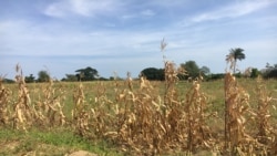 Zonas do Namibe e Huíla de novo em perigo de seca e fome - 1:54