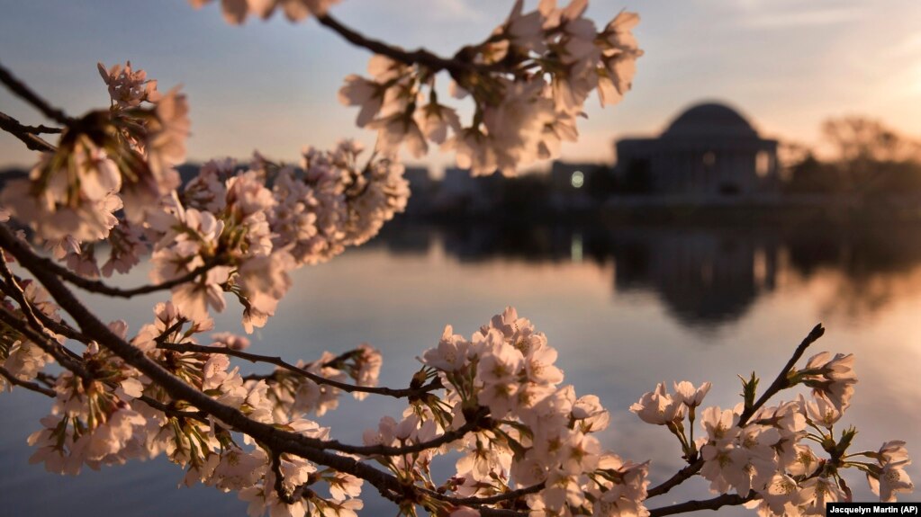 The National Park Service manages more than just parks, it governs monuments like the Jefferson Memorial in Washington, D.C.