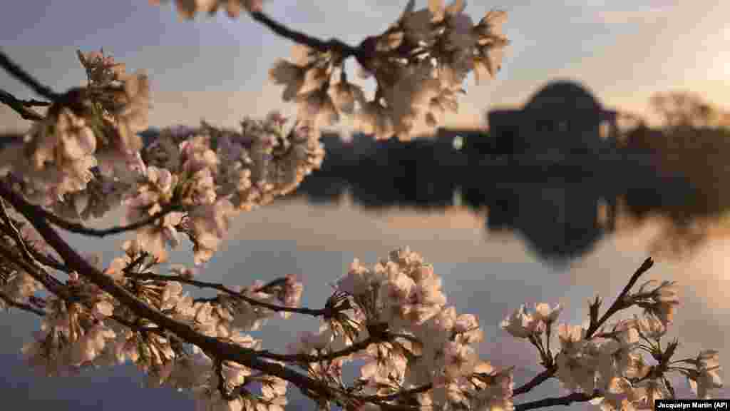 The National Park Service manages more than just parks, it governs monuments like the Jefferson Memorial in Washington, D.C.