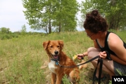 Brittney Johnson got her dog Mumford shortly after buying her Minnesota farm. (E.Sarai/VOA)