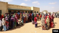 Long queues of voters in Somaliland municipal elections, November 28, 2012. (Credit: Kate Stanworth)