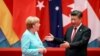 Panda Diplomacy: Merkel, Xi Pushed Into Awkward Embrace Before G20