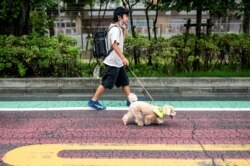 Kento Takeuchi berjalan dengan anjing jantannya yang berusia empat tahun Kojiro, campuran toy pudel dan Malta, pada pagi hari "Patroli Wan-Wan" ke sebuah sekolah dasar di Tokyo, Jepang, 14 Juli 2021. (AFP)