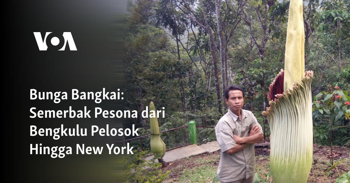 Semerbak Pesona dari Bengkulu Pelosok Hingga New York