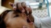 WHO: An Shawo Kan Cutar Polio a Nahiyar Africa