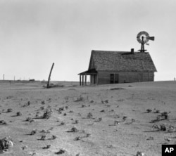 In the 1930s, the once-fertile Great Plains turned into the Dust Bowl after generations of plows broke up the soil.