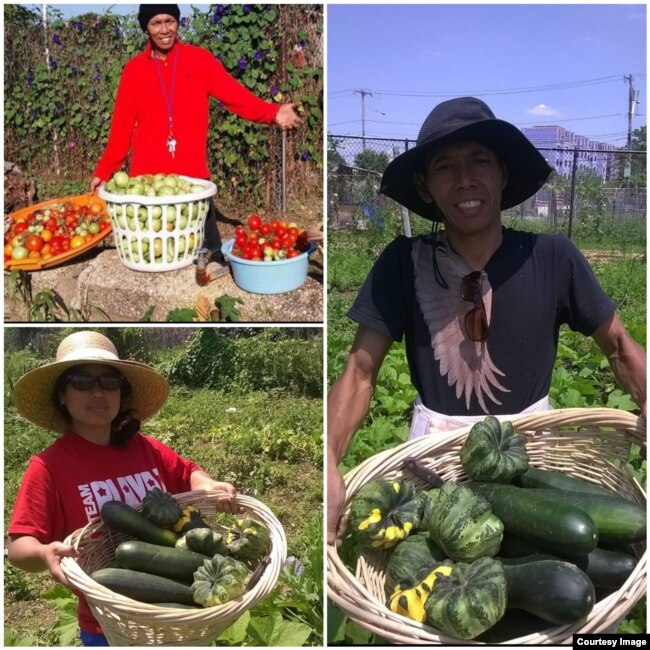 Syarif Syaifulloh dengan hasil panen dari kebunnya.