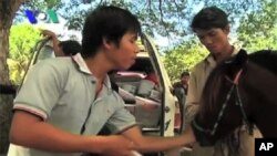 បសុពេទ្យ​ម្នាក់​​របស់​សមាគម​សុខភាព​សេះ​នៅ​កម្ពុជា កំពុង​ព្យាបាល​សេះ​ជូន​ម្ចាស់​សេះ​ម្នាក់​ដោយ​ឥត​គិត​ថ្លៃ។ ប៉ុន្តែ​ចាប់​ពី​ឆ្នាំ​ក្រោយ​ទៅ​ សមាគម​នេះ​មាន​ផែនការ​ចាប់​ផ្តើម​យក​ថ្លៃ​ព្យាបាល​៥០%​ពី​ម្ចាស់​សេះ។