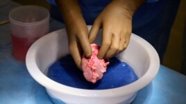 A genetically engineered pig kidney is cleaned and prepared for transplantation to a human at NYU Langone in New York, U.S., in this undated handout photo. (Joe Carrotta for NYU Langone Health/Handout via REUTERS)