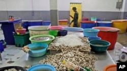 Shrimp are left on an abandoned peeling table as a Thai soldier walks past during a raid on the shrimp shed in Samut Sakhon, Thailand, Nov. 9, 2015. In November 2015, AP journalists followed and filmed trucks loaded with freshly peeled shrimp going from this shed to major Thai exporting companies, and then tracked it globally. They also traced similar connections from another factory raided six months earlier and interviewed more than two dozen workers from both sites. The shrimp made its way into the supply chains of major food stores and retailers in all 50 U.S. states. 