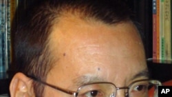 Liu Xiaob