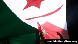 FILE: A man takes part in a demonstration in support of Western Sahara's independence, in Madrid November 16, 2014. Thirty-nine years after Spain left Western Sahara in the hands of Moroccan troops, two thirds of its territory still remain under the rule of Rabat.