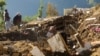 کالعدم تنظمیں زلزلہ زدہ علاقوں میں کام نہیں کر سکتیں: پرویز رشید