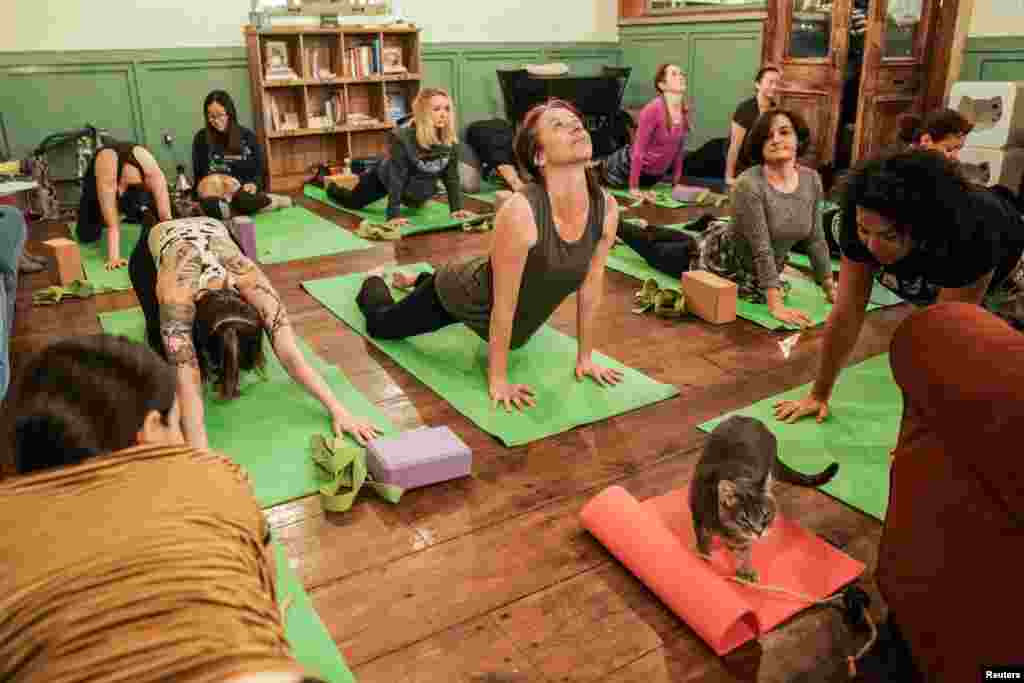 People attend a cat yoga class at Brooklyn cat cafe in Brooklyn, New York, United States, March 13, 2019.