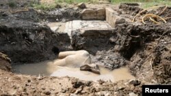 A statue workers say depicts Pharaoh Ramses II who ruled Egypt over 3,000 years ago was unearthed on Thursday in the Matariya area in Cairo, Egypt, March 9, 2017.