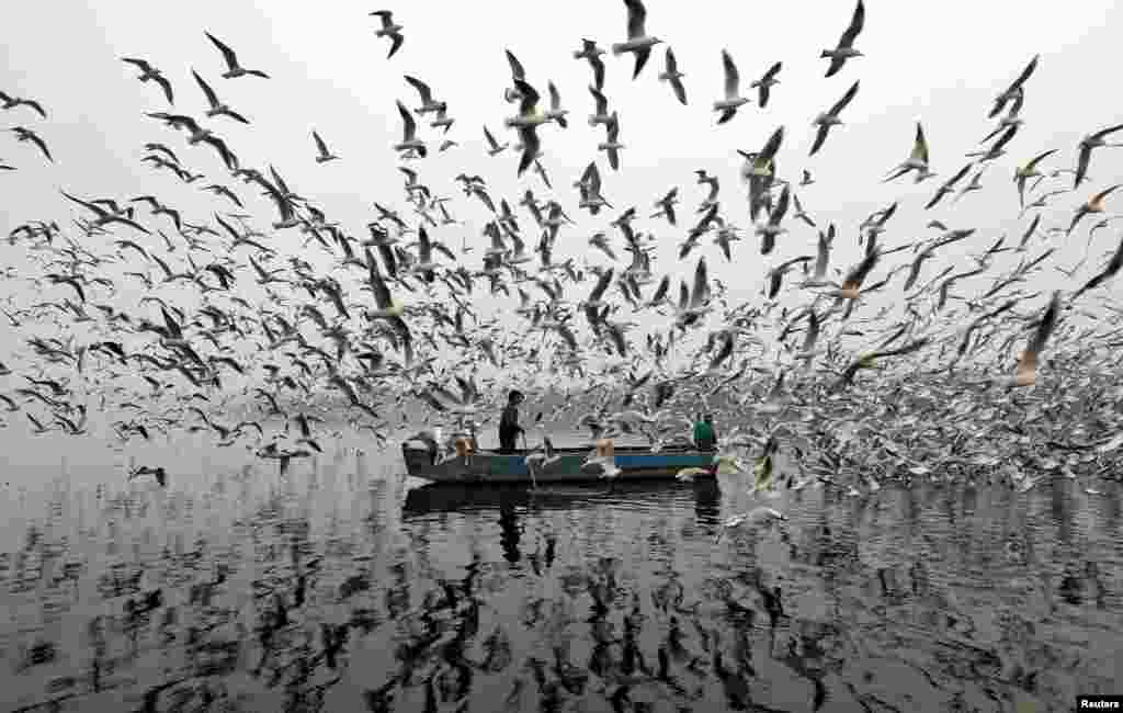 Men feed seagulls along the Yamuna river on a smoggy morning in New Delhi, India.