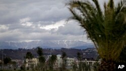 The Caucasus Mountains, site of several 2014 Winter Olympic events, rise in the background as a palm tree stands in the Coastal Cluster's Olympic Park in Sochi, Russia, Jan. 30, 2014.