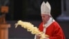 Папа Франциск призвал свою паству к служению 