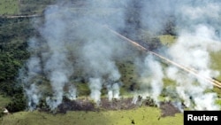 브라질 아마존 우림지대를 지나는 고속도로 주변 나무들이 불에 타고 있다. (자료사진)