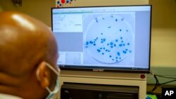 FILE - Sandile Cele, a researcher at the Africa Health Research Institute in Durban, South Africa, works on the omicron variant of the COVID-19 virus, Dec. 15, 2021. 