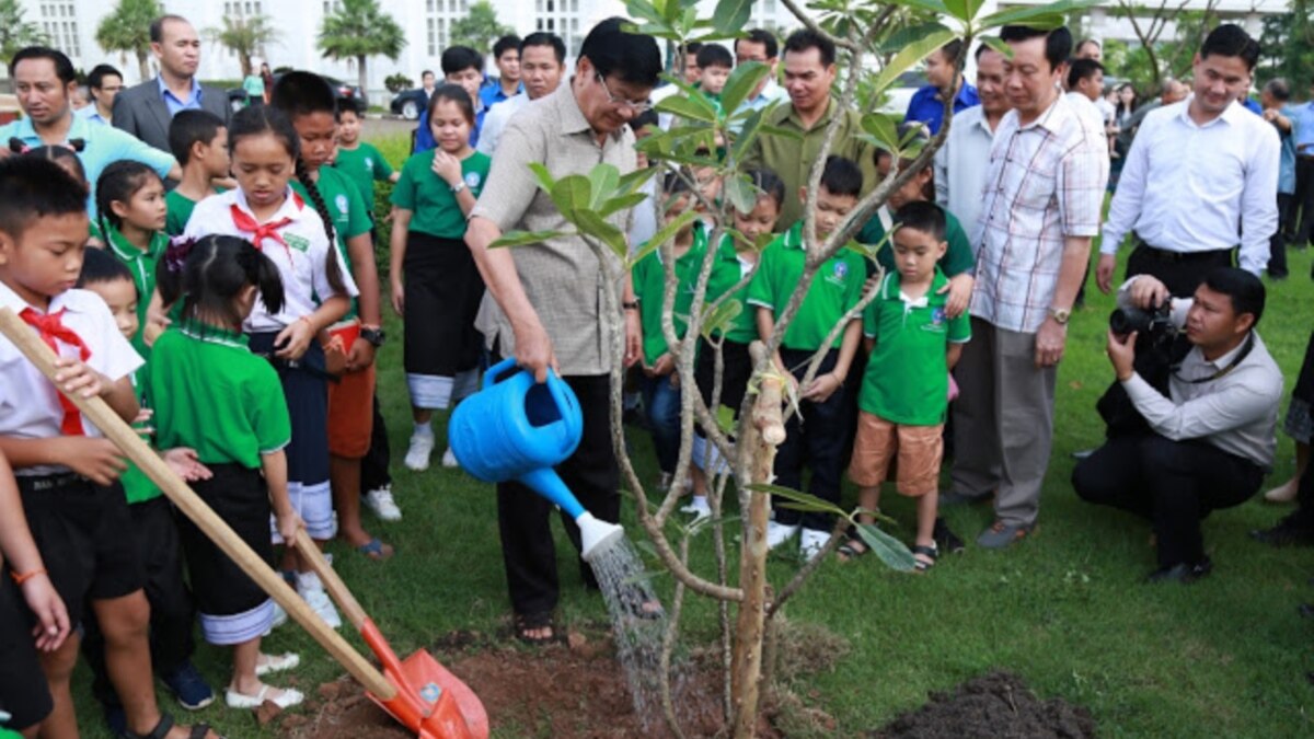 How to Fight Climate Change? Plant a Trillion Trees