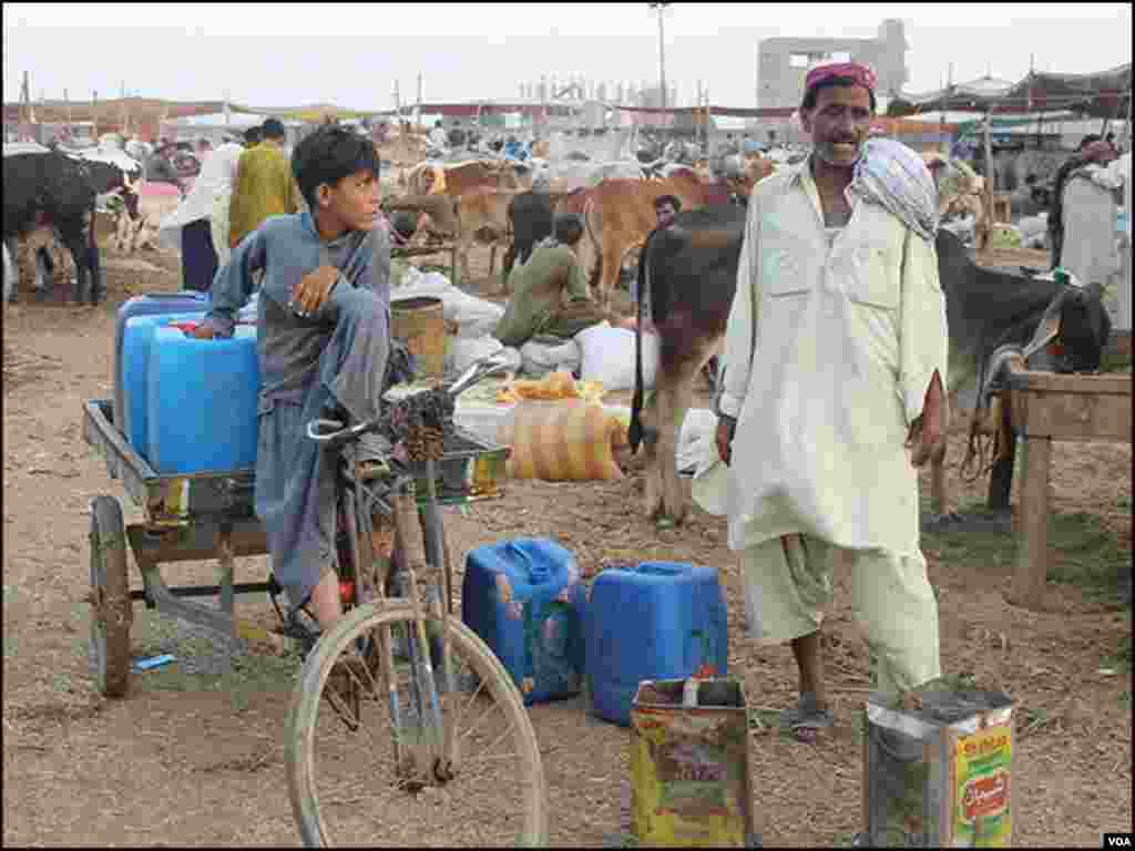 بیوپاریوں کے علاوہ بھی کئی افراد کا کاروبار منڈی سے وابستہ ہے جن میں جانوروں کے پینے کے لئے پانی کا انتظام کرنے والا یہ شخص بھی شامل ہے