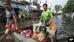 Residents push their dogs and belongings in a make-shift container as they wade through a flooded street in Bangkok, Sunday, October 23, 2011.