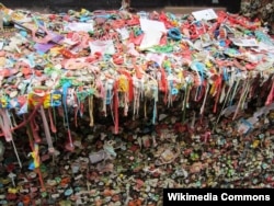 The gum is up to 15 centimeters thick in some spots.