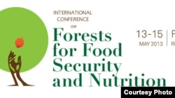 Logo of International Conference on Forests for Food Security and Nutrition 