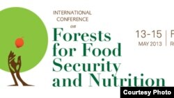 Logo of International Conference on Forests for Food Security and Nutrition 