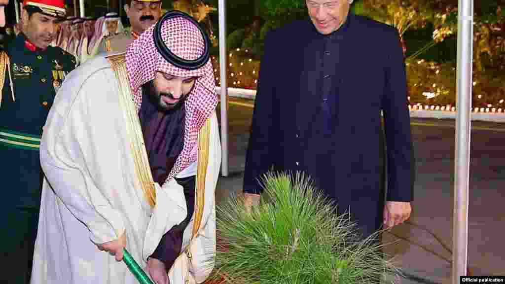 سعودی ولی عہد محمد بن سلمان درخت لگا رہے ہیں۔