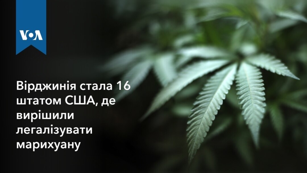 закон за марихуану