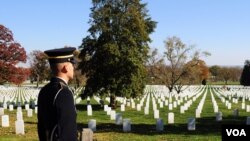 Americans Mark Veterans Day