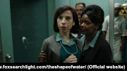 The Shape of Water