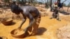 Au moins trois jeunes tués dans l'éboulement d'un site aurifère en Guinée