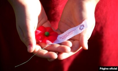 Flor Roja De La Amapola Al Tributo Al Soldado De Veterano En La