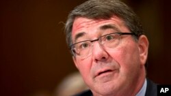 Secretario de Defensa de Estados Unidos, Ash Carter.