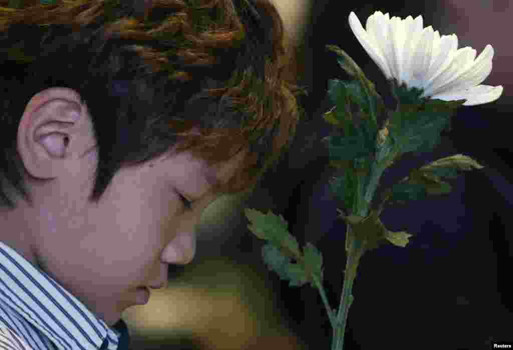 A boy holding a white chrysanthemum pays tribute at a temporary group memorial altar for victims of capsized passenger ship Sewol in Ansan, South Korea.